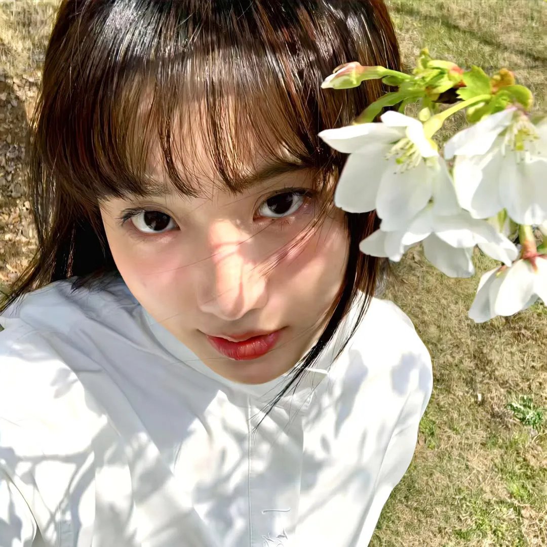万花锦绣